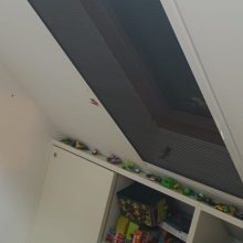 WhatsApp Image 2022-04-12 at 20.57.35