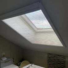 WhatsApp Image 2022-09-29 at 16.42.46