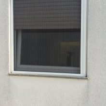 PHOTO-2022-10-20-19-54-43